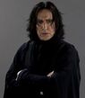 Harry-Potter-Severus-Snape-262x300