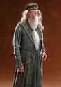PromoHP4 Dumbledore