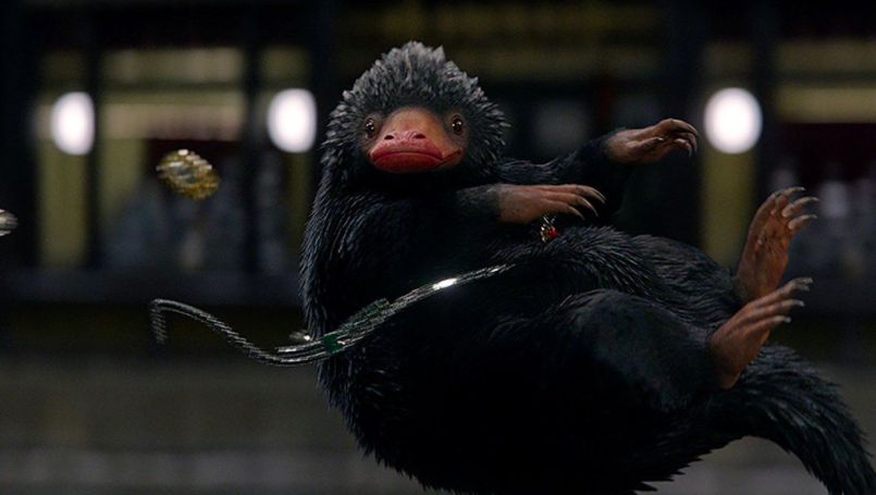 Niffler HarryPotterLexikon Fandom