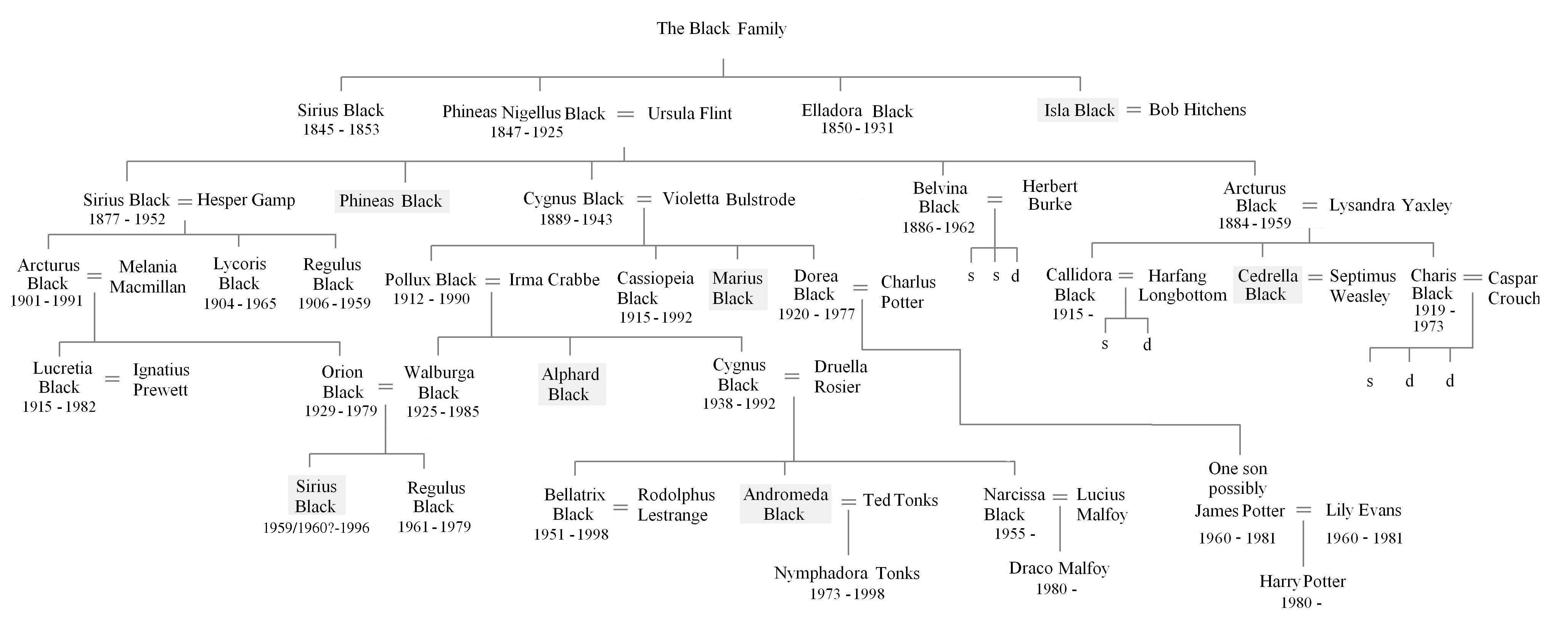 what does a family tree look like