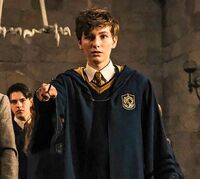 Newt hogwarts