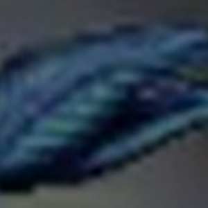 Peacock Feather Harry Potter Wiki Fandom