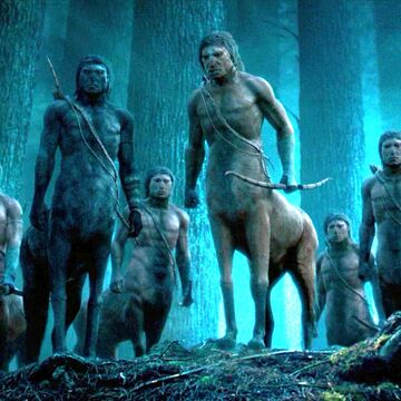 Forbidden Forest Centaur Colony Harry Potter Wiki Fandom