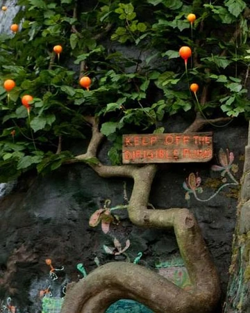 Dirigible plum | Harry Potter Wiki | Fandom
