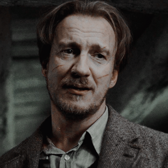 Remus Lupin Harry Potter Lexikon Fandom