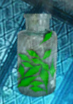 Lovage