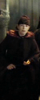 Igor Karkaroff's Yule Ball partner