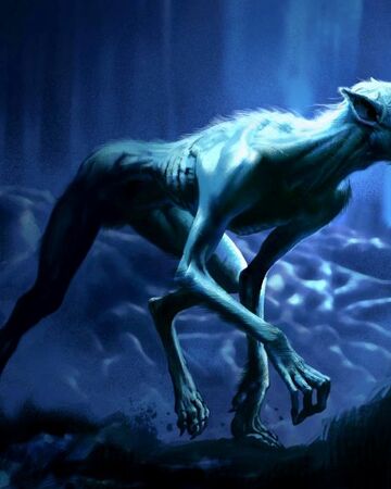 Werewolf Harry Potter Wiki Fandom