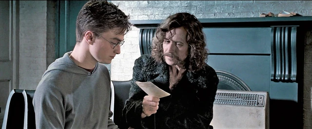 File:Order-of-the-phoenix-sirius harry.jpg