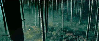 Forbidden Forest Harry Potter Wiki Fandom