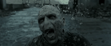Voldemort's death