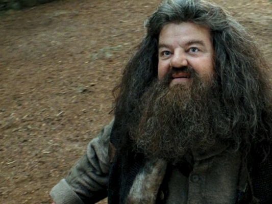 imagem hagrid jpg harry potter wiki fandom powered by wikia