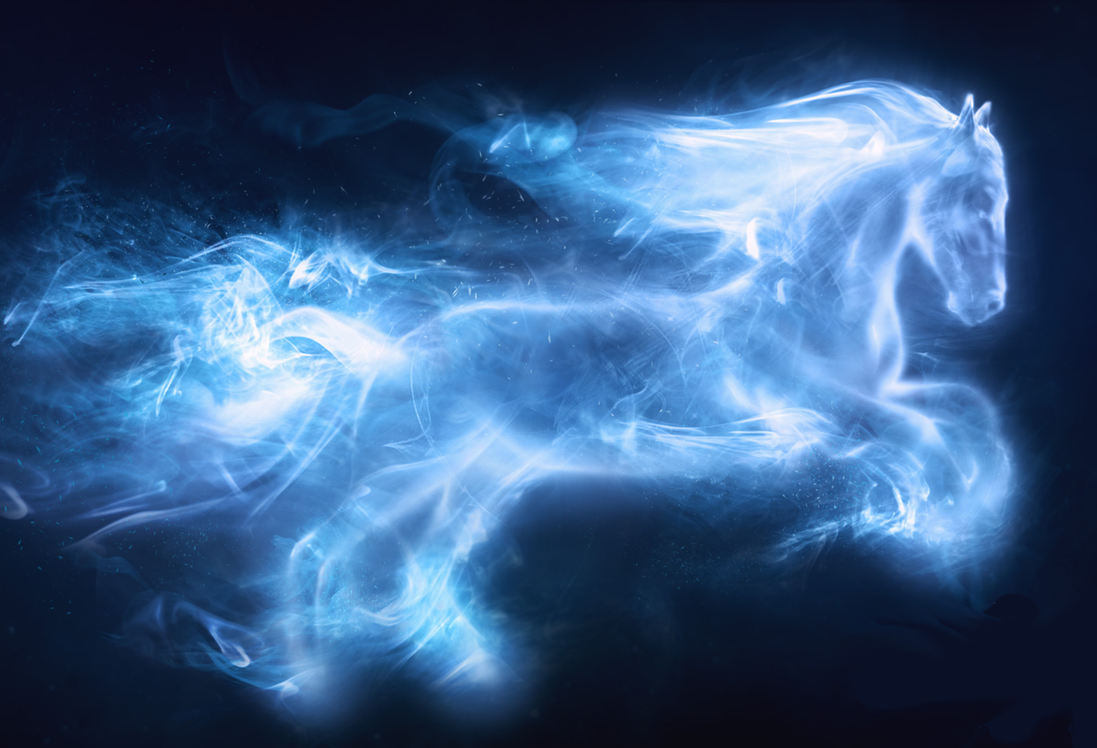 Horse | Harry Potter Wiki | FANDOM powered by Wikia