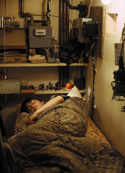 Cupboard Under the Stairs Harry Potter Wiki FANDOM powered by Wikia