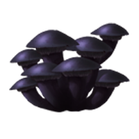 Mushrooms