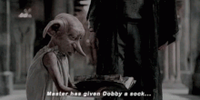 Dobby sock
