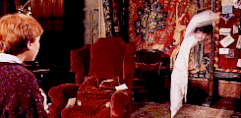 Invisibility Cloak GIF