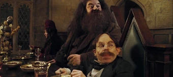 Filius Flitwick Harry Potter Wiki Fandom