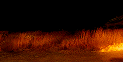 Bellatrix apparate