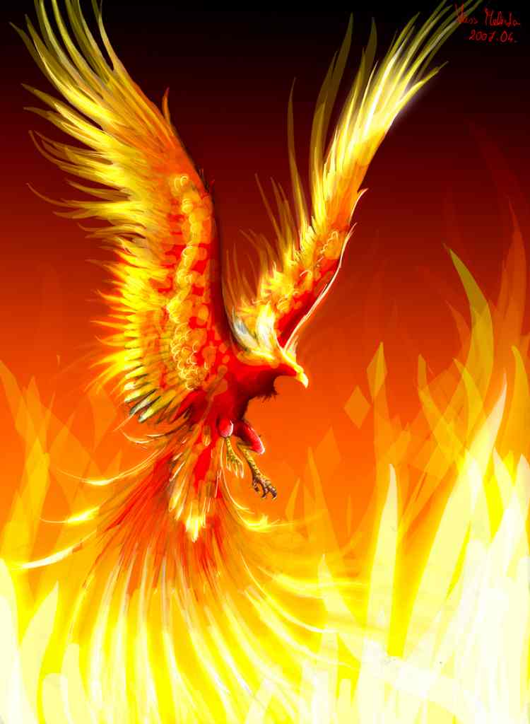 RÃ©sultat de recherche d'images pour "phoenix"