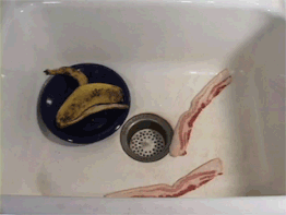 Sinkbacon
