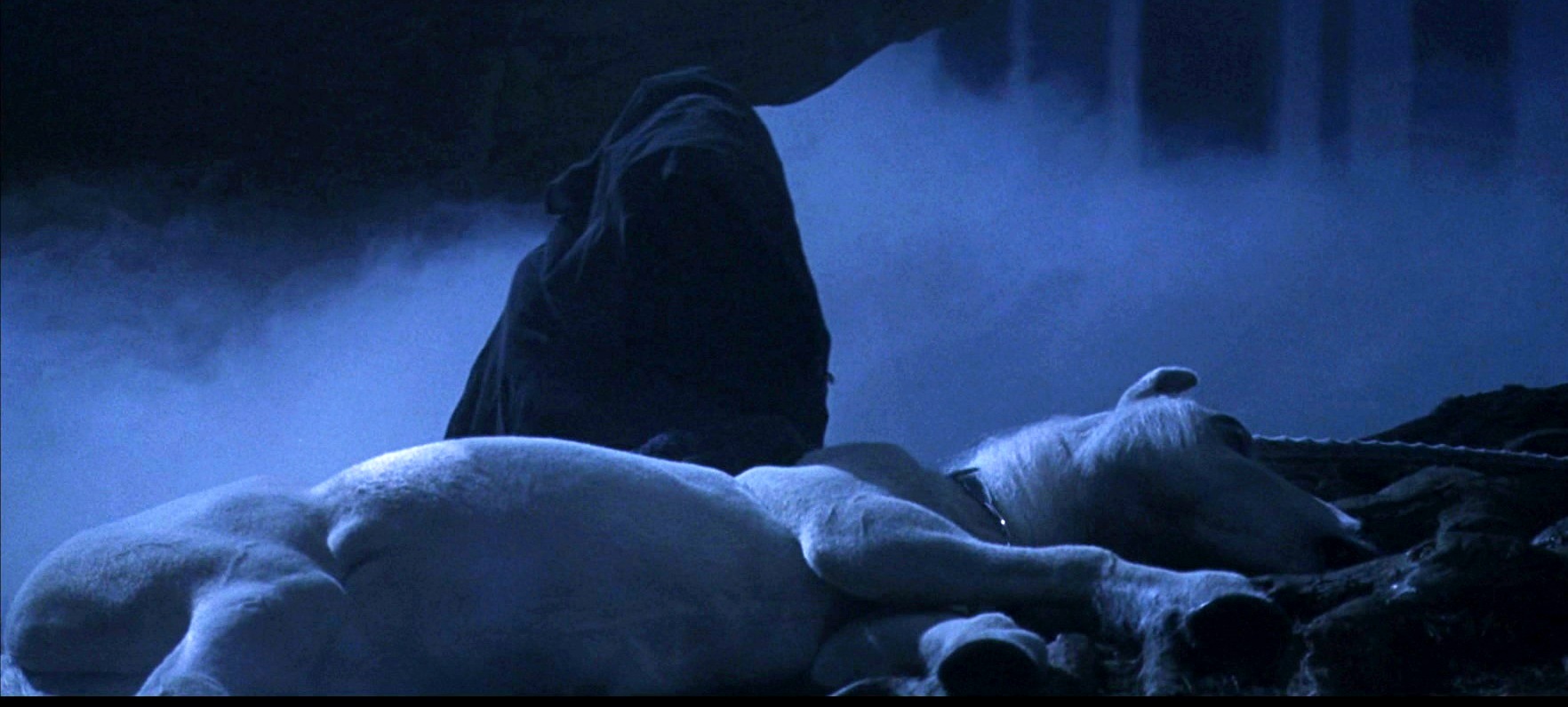 Detention In The Forbidden Forest 1992 Harry Potter Wiki Fandom