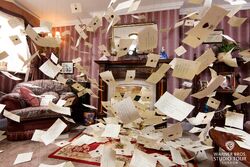 Privet Drive