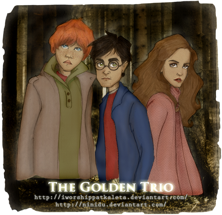 Image - Golden Trio Deathly Hallows.png | Harry Potter Wiki | FANDOM