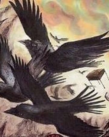 Raven To Writing Desk Harry Potter Wiki Fandom