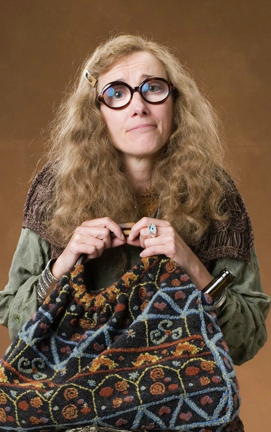 Image 18.jpg Potterwiki FANDOM powered by Wikia