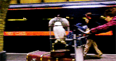 Blocked Barrier GIF