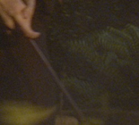 Theseus wand