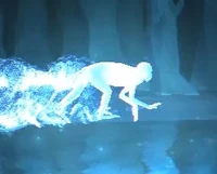 CapuchinMonkey-patronus