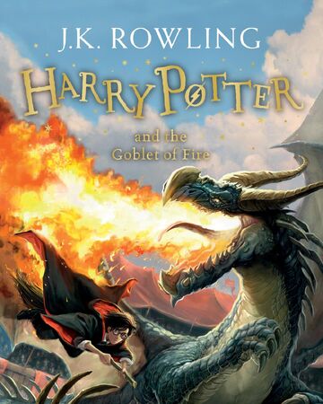 book after goblet of fire