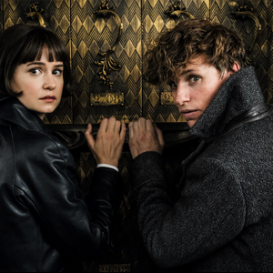 Les Animaux Fantastiques Les Crimes De Grindelwald Wiki