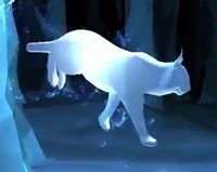 Lynx Patronus