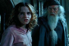 Dumbledore z hermioną