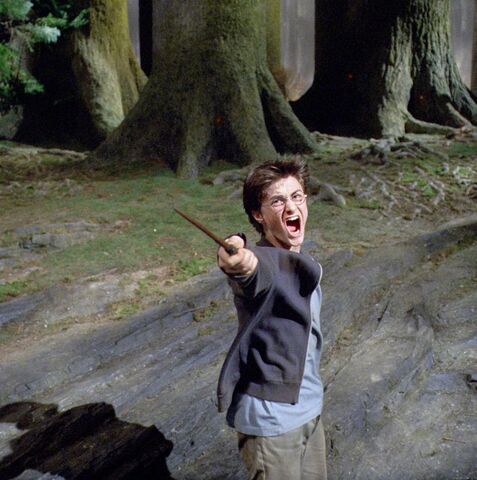 Файл:Harrypatronus.jpg