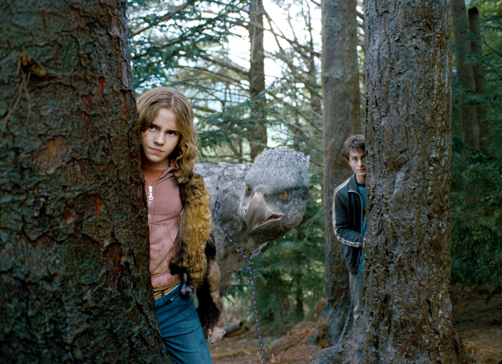 POA HQ vẫn Hermione Buckbeak Harry