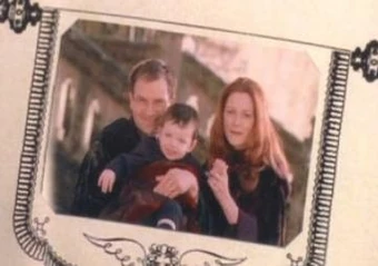 Harry Potter Was Nach Voldemort Geschah Blog Elbenwald De