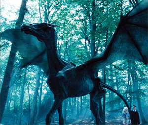 Thestral | Harry-Potter-Lexikon | FANDOM powered by Wikia