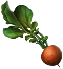 Dirigible plum (pottermore)