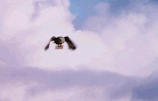 OWL carrying a message