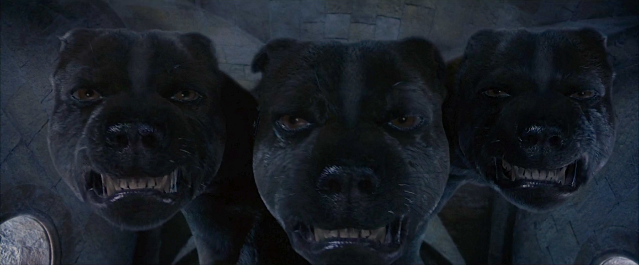 image-fluffy-the-three-headed-dog-png-harry-potter-wiki-fandom-powered-by-wikia