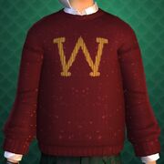 Bill's clothing item