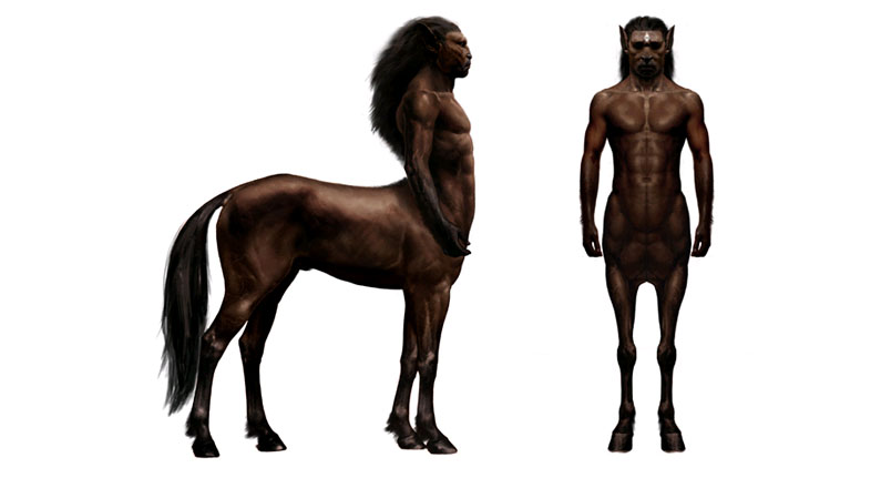 Centaur Harry Potter Wiki Fandom