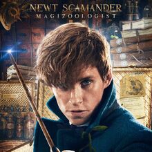 Fantastic Beasts And Where To Find Them Film Harry Potter Wiki Fandom
