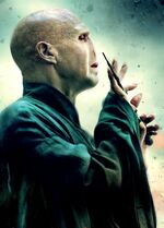 Voldemort (4)