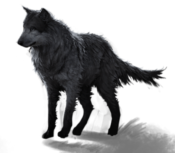 Au feminin com forum Au feminin com forum