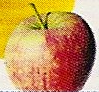 Apple.